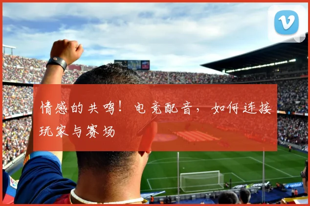 情感的共鸣！电竞配音，如何连接玩家与赛场